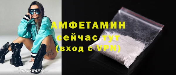 твердый Магас
