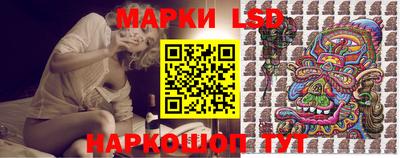 шишки Гатчина