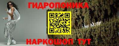 шишки Гатчина