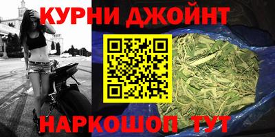 стаф Гай
