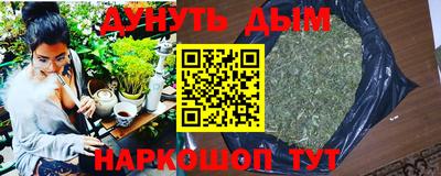 шишки Гатчина