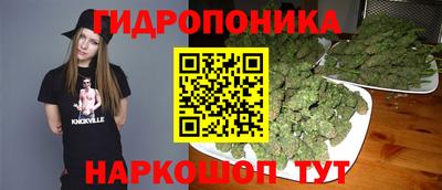 молекула духа Кулебаки