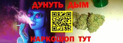 стаф Гай