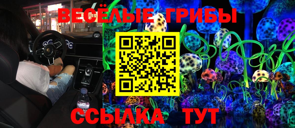 Псилоцибиновые грибы Cubensis  где найти наркотики  Дубна 