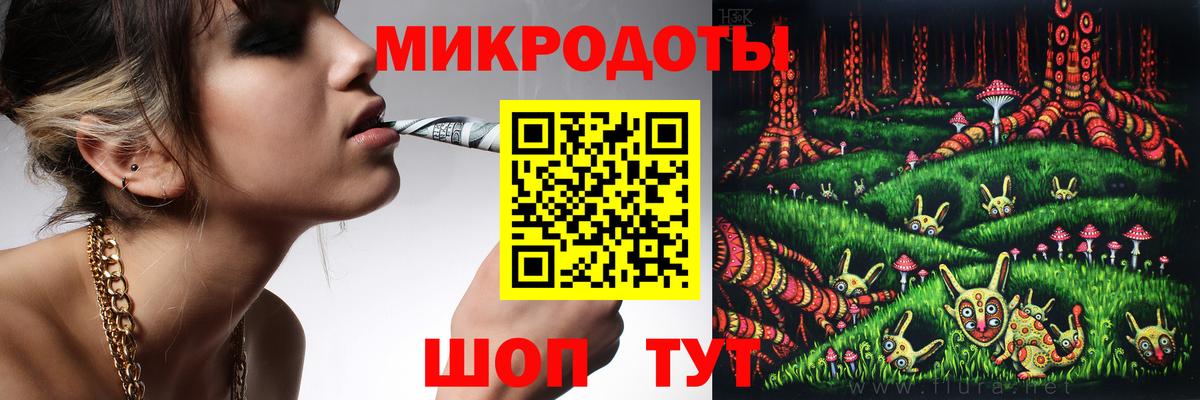 Дубна  Галлюциногенные грибы Psilocybine cubensis  Вход с VPN 