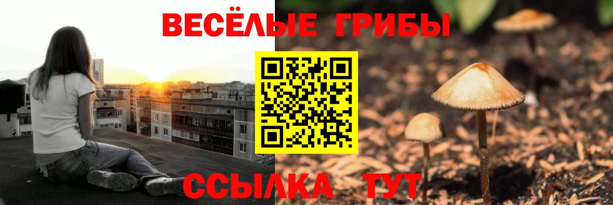 Псилоцибиновые грибы MAGIC MUSHROOMS Дубна