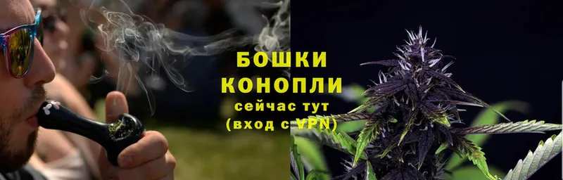 цены   Дубна  Конопля конопля 